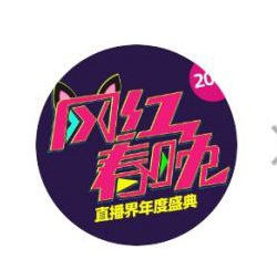 網(wǎng)紅春晚 官方公眾號啟用